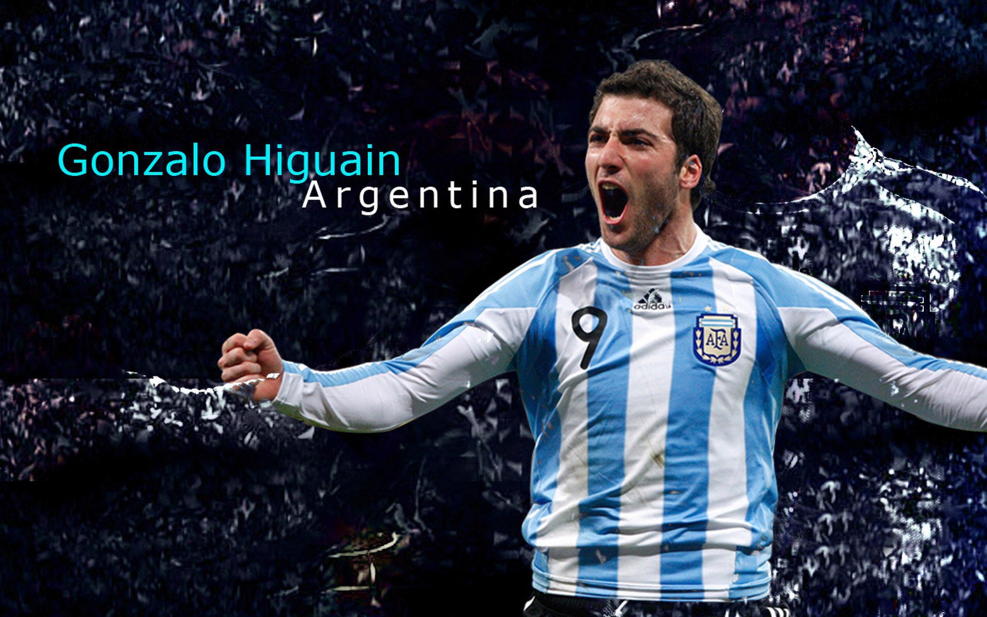 本泽马孤影扛旗，当土耳其绿茵碰撞荷兰郁金香